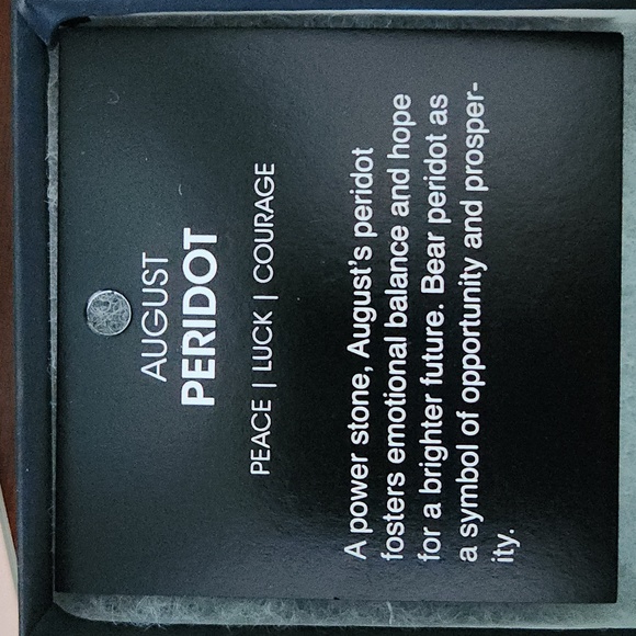 NEW in box Alex and Ani Energy bracelet - Picture 3 of 5